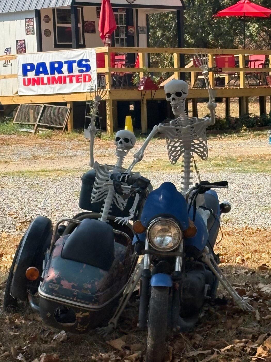 Waving skeletons at Rodo's Cycle Center